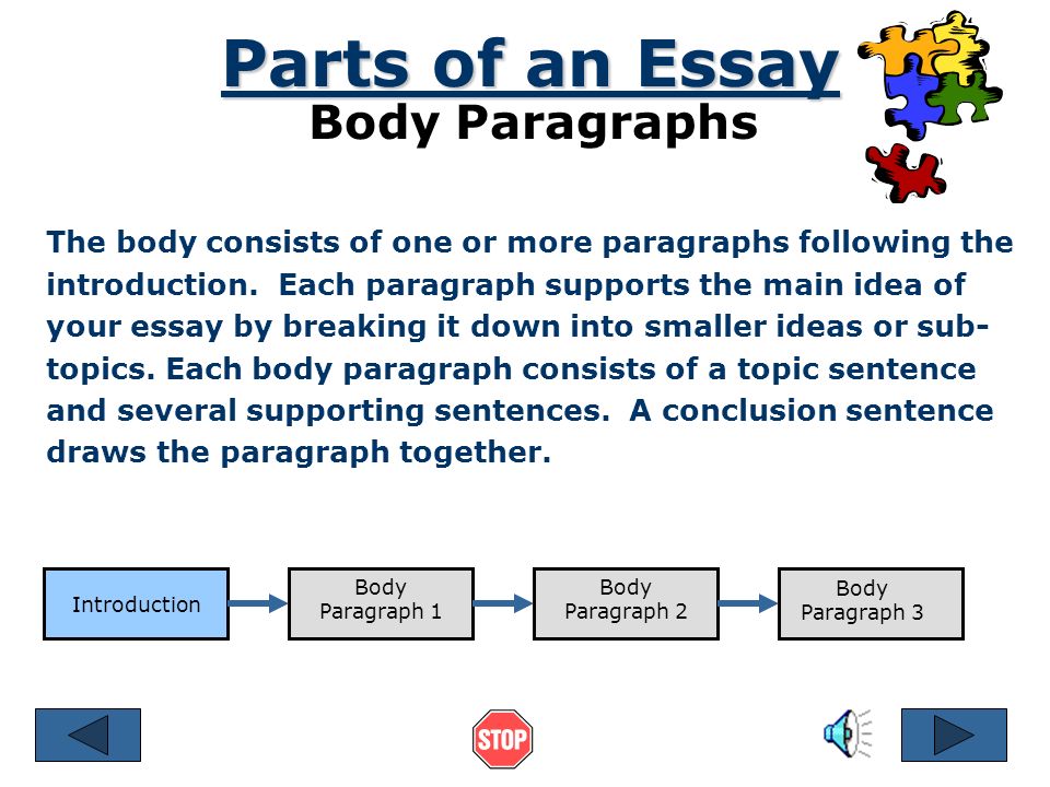 What are the five parts of a body paragraph in an essay